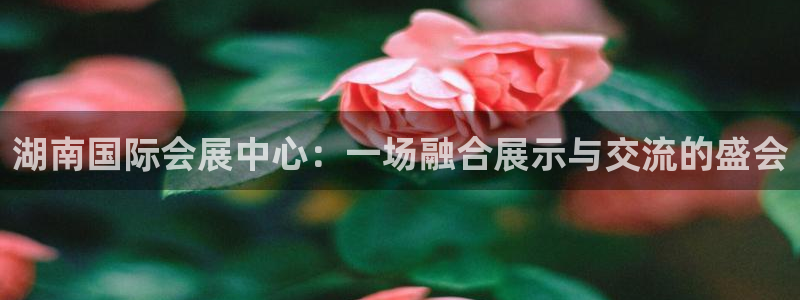 果博代理：湖南国际会展中心：一场融合展示与交流的盛会