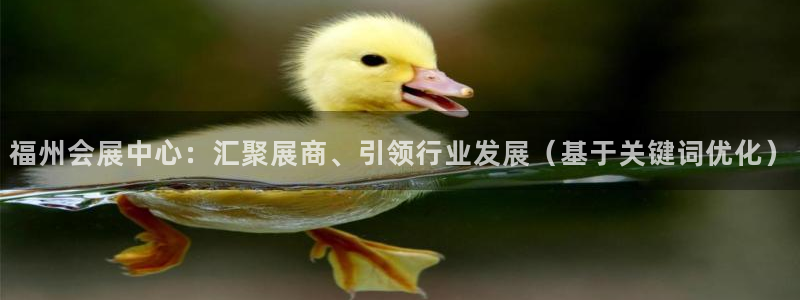 果博公司开户注册：福州会展中心：汇聚展商、引领行业发展（基于关键词优化）