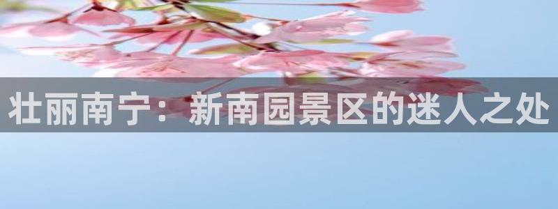 果博怎么注册账号和密码：壮丽南宁：新南园景区的迷人之处