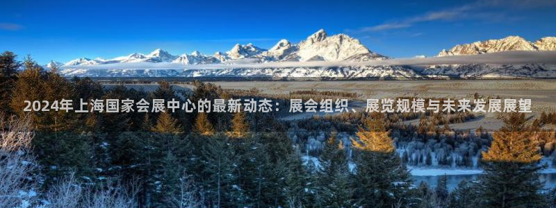 果博客服联系电话：2024年上海国家会展中心的最新动态：展会组织、展览规模与未来发展展望