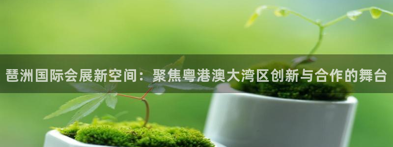 果博真人：琶洲国际会展新空间：聚焦粤港澳