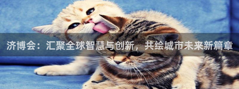 果博公司会员怎么开户：济博会：汇聚全球智