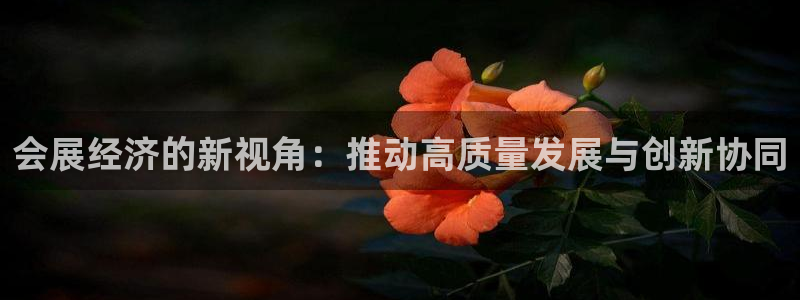 果博官网在银博：会展经济的新视角：推动高