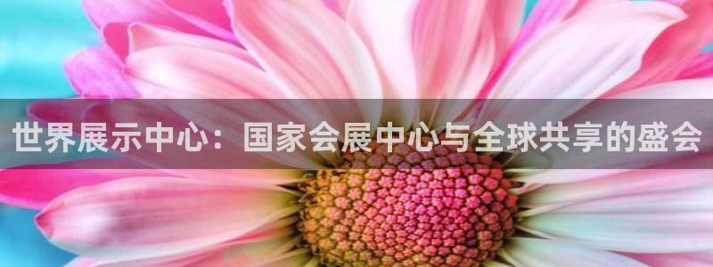 果博代理电话多少：世界展示中心：国家会展