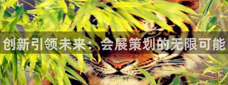 下载果博：创新引领未来：会展策划的无限可