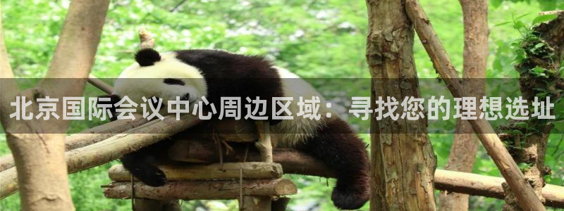 果博公司客服微信号是多少：北京国际会议中