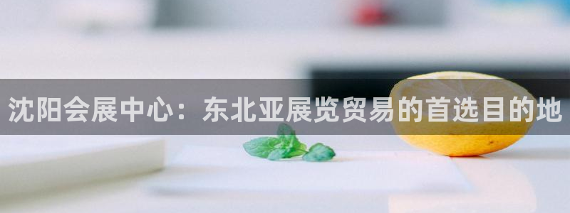 果博公司客服：沈阳会展中心：东北亚展览贸