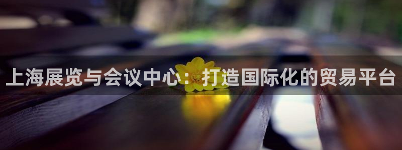 果博平台真实吗安全吗可信吗：上海展览与会议中心：打造国际化的贸易平台