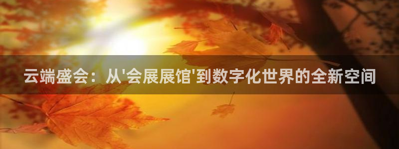 果博公司怎么开户：云端盛会：从\'会展展馆\'到数字化世界的全新空间