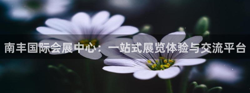果博注册客服电话号码查询：南丰国际会展中心：一站式展览体验与交流平台
