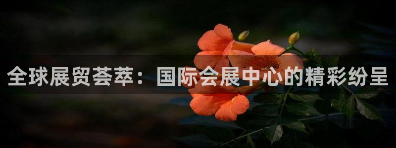 果博公司会员注册账号：全球展贸荟萃：国际会展中心的精彩纷呈