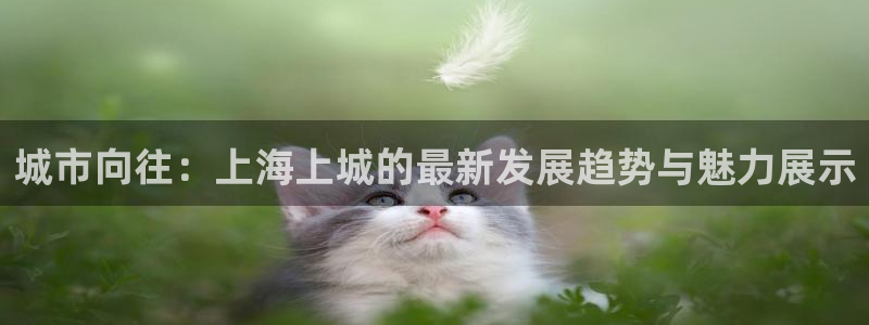下载果博app