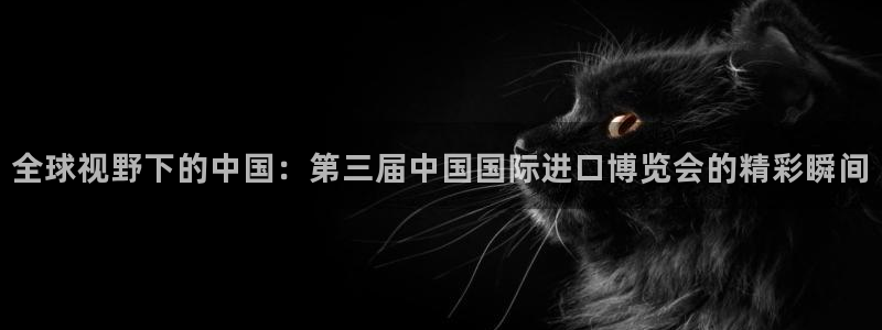 果博电话：全球视野下的中国：第三届中国国际进口博览会的精彩瞬间