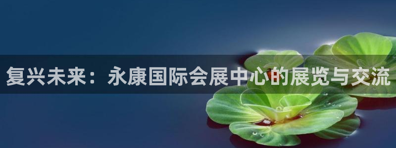 果博公司客服微信怎么加：复兴未来：永康国际会展中心的展览与交流