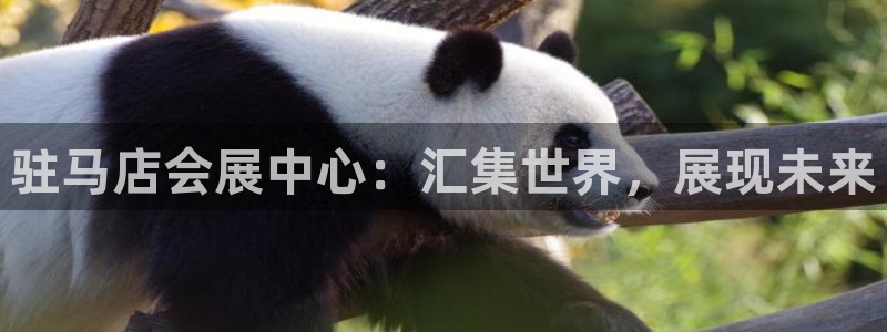 果博注册客服电话：驻马店会展中心：汇集世界，展现未来