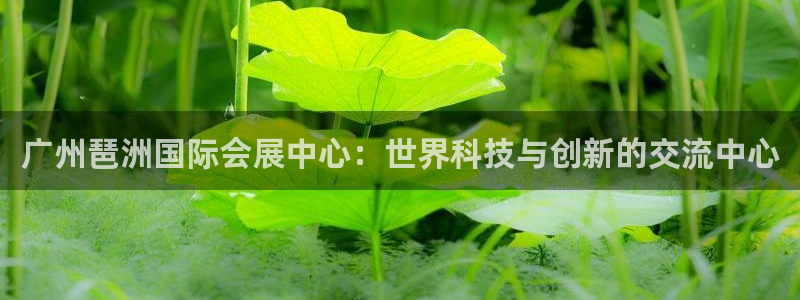 果博注册平台怎么注册：广州琶洲国际会展中心：世界科技与创新的交流中心