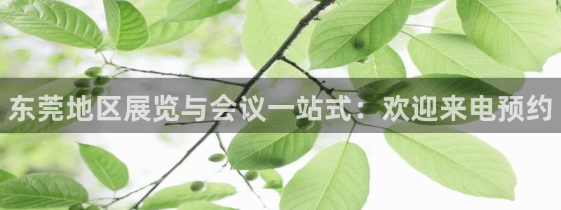 果博官网首页：东莞地区展览与会议一站式：欢迎来电预约