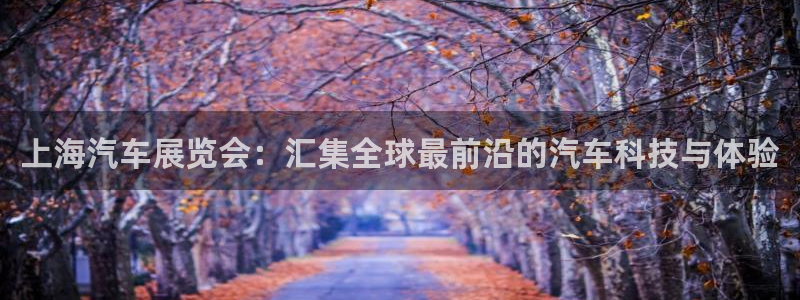 苹果电脑怎么下载博弈大师等软件：上海汽车展览会：汇集全球最前沿的汽车科技与体验