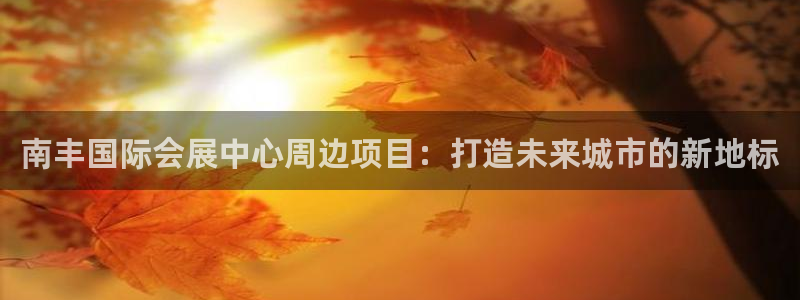 果博东手机版下载开户：南丰国际会展中心周