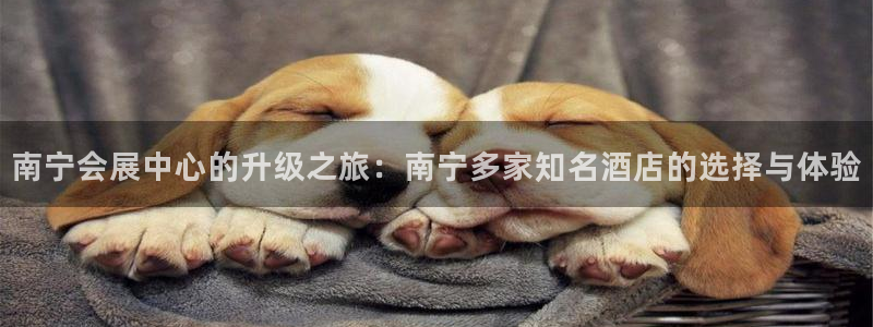 果博注册平台：南宁会展中心的升级之旅：南宁多家知名酒店的选择与体验
