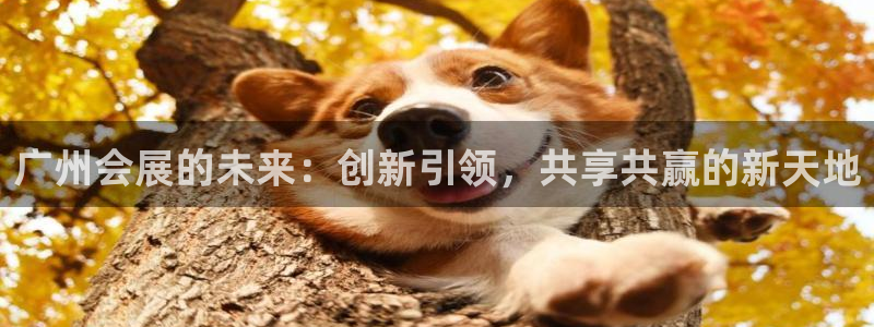 果博公司开户：广州会展的未来：创新引领，