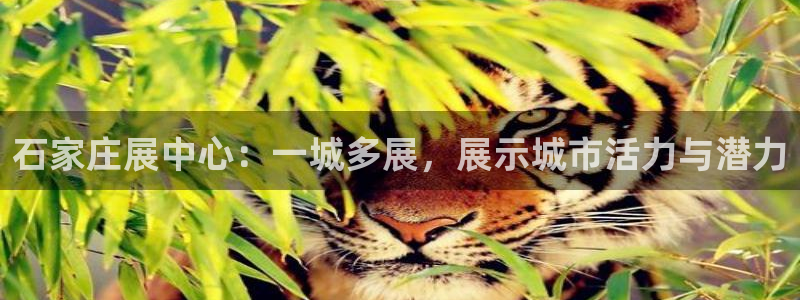 果博平台真实吗知乎怎么样：石家庄展中心：一城多展，展示城市活力与潜力