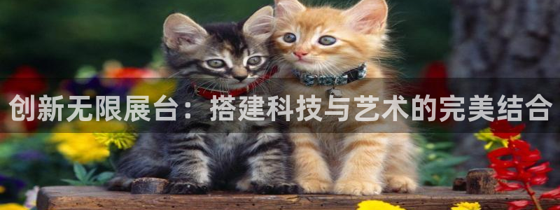 果博注册充值怎么退款：创新无限展台：搭建