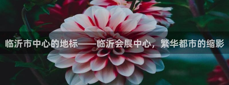 果博注册会员多少钱：临沂市中心的地标——